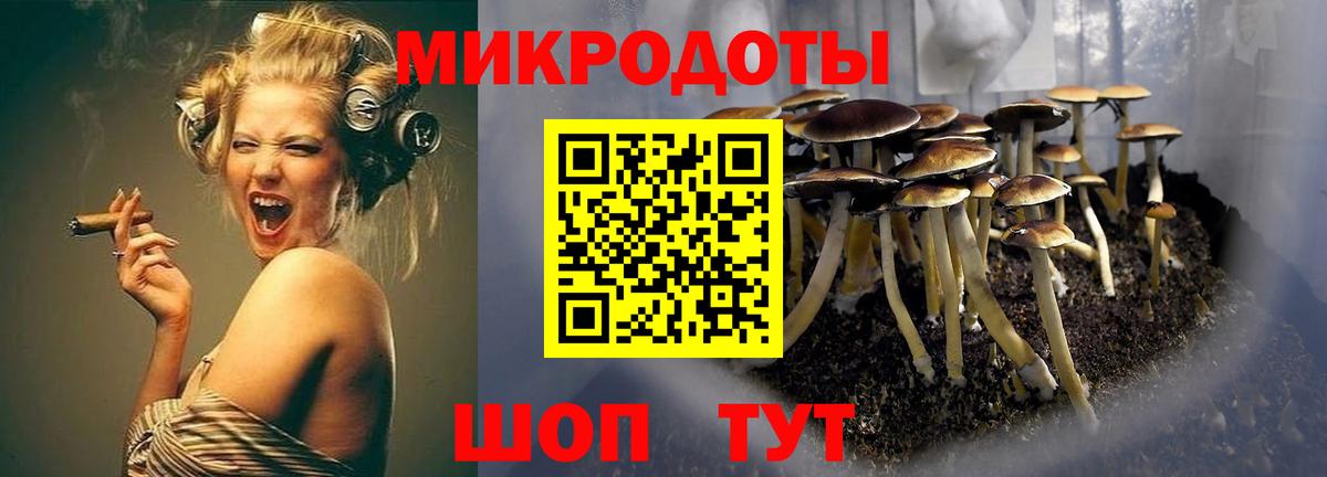 Галлюциногенные грибы Magic Shrooms  Вход с VPN  Липецк  Галлюциногенные грибы GOLDEN TEACHER 